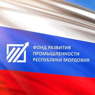 Статистика Дзен Фонд развития промышленности Республики Мордовия