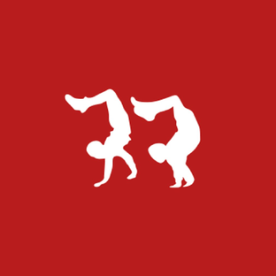 Статистика Дзен ADV web-engineering co