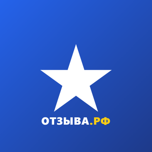 Статистика Дзен Отзыва.РФ — отзывы о компаниях