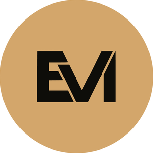 Статистика Дзен EVI Global Group I Инвестиции, промышленный майнинг