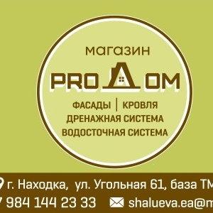 Статистика Дзен ProДом