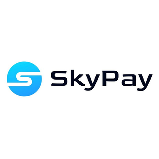 Статистика Дзен SkyPay Official