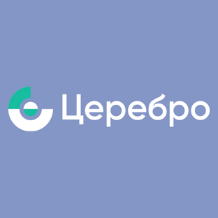 Статистика Дзен Частная клиника «Церебро»