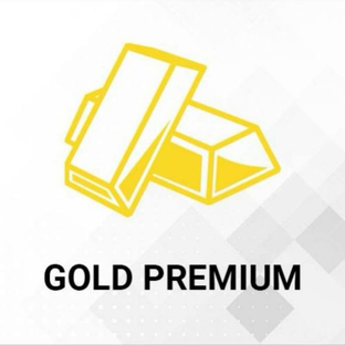 Статистика Дзен Gold Premium