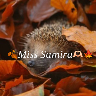 Статистика Дзен 🍂 𝑀𝑖𝑠𝑠 𝑆𝑎𝑚𝑖𝑟𝑎🫶🏻🍁
