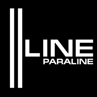 Статистика Дзен PARALINE