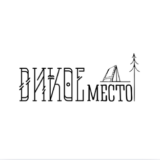Статистика Дзен Дикое Место