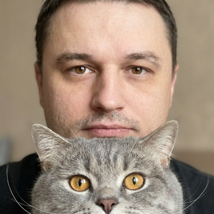Статистика Дзен Живу у кота