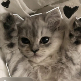 Статистика Дзен Н@стюшикс💕