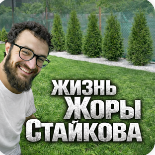 Статистика Дзен Жизнь Жоры Стайкова