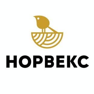 Статистика Дзен НОРВЕКС строительство из клееной древесины