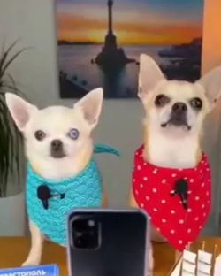 Статистика Дзен М&Ж