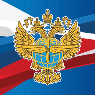 Статистика Дзен Росавиация