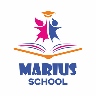 Статистика Дзен MARIUS Семейная школа в Королёве 