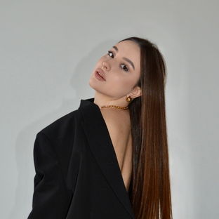 Статистика Дзен Darya Biller
