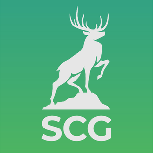 Статистика Дзен Samoylov Consulting Group