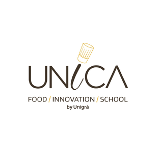 Статистика Дзен UNICA by Unigrà