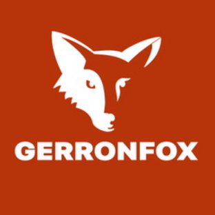 Статистика Дзен Цифровизация мира | GERRONFOX