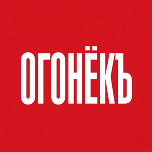 Статистика Дзен Огонёк
