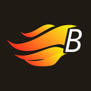 Статистика Дзен B-Fire (Б-Огонь) | Газовые грили