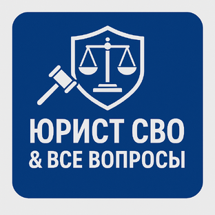 Статистика Дзен Юрист СВО & Все Вопросы