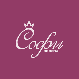 Статистика Дзен Софи | Профессиональный груминг