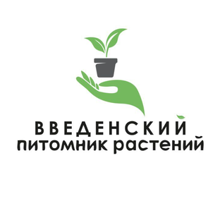 Статистика Дзен Введенский Питомник Растений