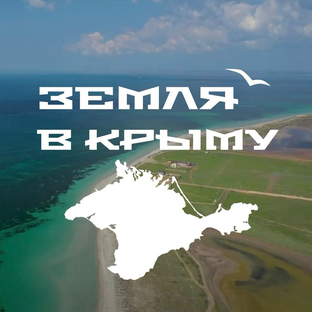 Статистика Дзен Земля в Крыму