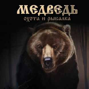 Статистика Дзен Магазин «МедведЪ»