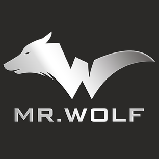 Статистика Дзен MR.WOLF - Шлифовальная Техника
