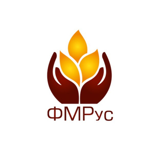 Статистика Дзен ФМРус