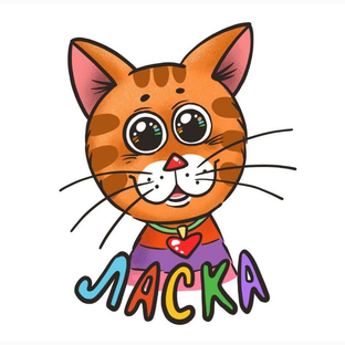 Статистика Дзен Ласка-Сахалин