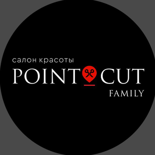 Статистика Дзен Студия имиджа PointCut Family