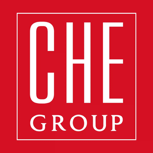 Статистика Дзен CHE Group