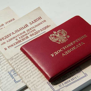 Статистика Дзен Адвокат Москва