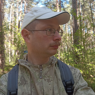 Статистика Дзен А.П.Павленко. Журнал историка.