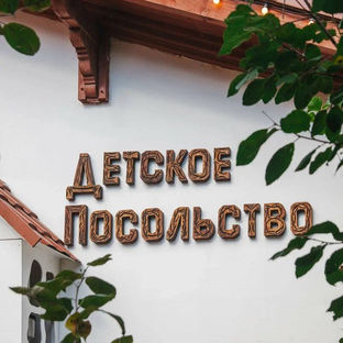 Статистика Дзен Детское Посольство