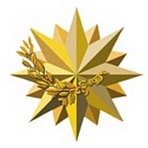 Статистика Дзен Корпорация безопасности "Шериф"
