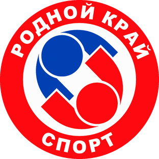 Статистика Дзен "Родной край - Спорт"