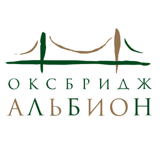 Статистика Дзен Компания «Альбион»