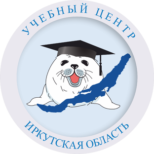 Статистика Дзен РОСТ Учебный центр