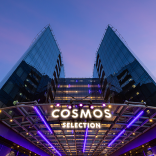 Статистика Дзен Отели Cosmos Шереметьево