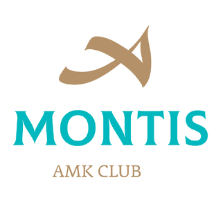 Статистика Дзен AMK MONTIS MEDISPA