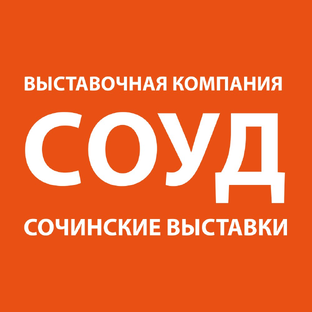 Статистика Дзен СОУД - Сочинские выставки