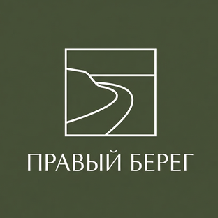 Статистика Дзен Правый Берег