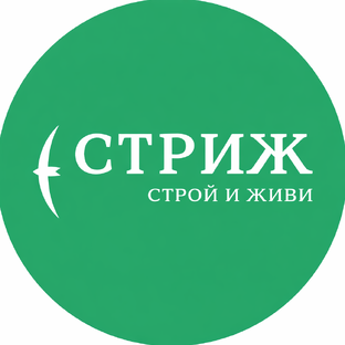 Статистика Дзен СТРИЖ | аналитика ИЖС