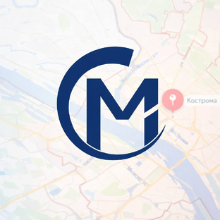 Статистика Дзен Мобисервис Кострома