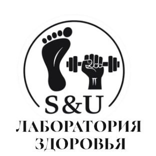 Статистика Дзен Лаборатория здоровья