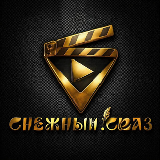 Статистика Дзен Снежный.СКАЗ
