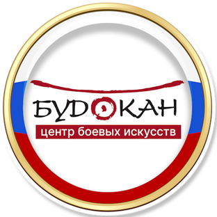 Статистика Дзен Центр боевых искусств "Будокан"